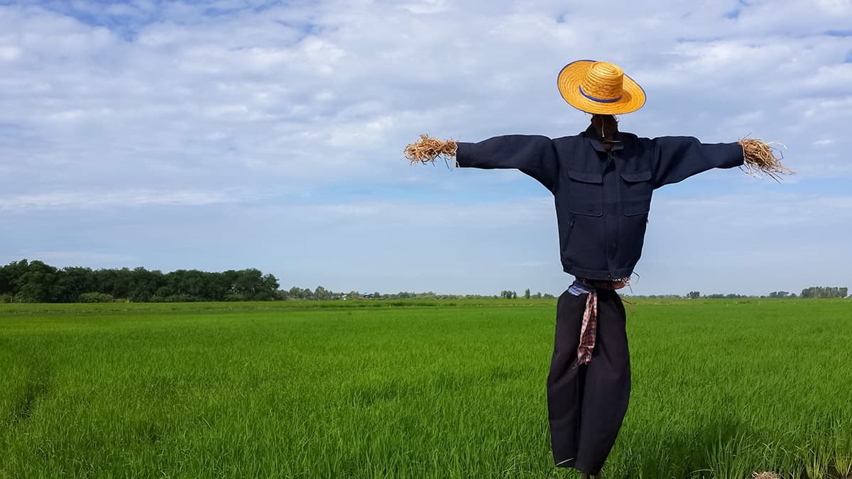 Bostan Korkulukları / T.S. Eliot Anısına