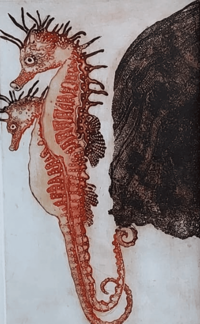 Resim_24_Denizatı